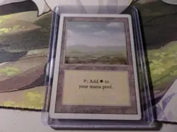 MTG 3rd Edition Revised 1994 Plains (C) MINT Old School 93/94 2 Lot - Image 2