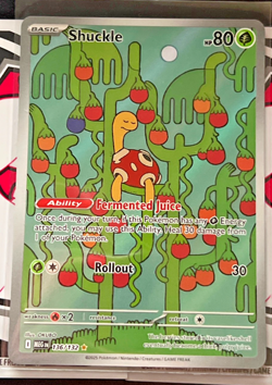 Shuckle 136/132 - Mega Evolution Pokemon Illustration Rare Holo NM PACK FRESH - Image 1