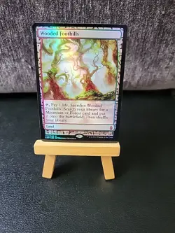 Wooded Foothills - FOIL - NM - Zendikar Expedition - Image 1