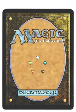 Anthem of Champions FOIL (Borderless) R Foundations 344 NM MTG Magic - Image 2