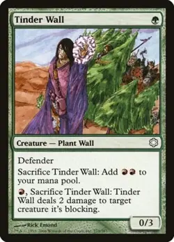 MTG Tinder Wall Coldsnap Theme Deck C 270/383 (LIGHTLY PLAYED) - Image 1