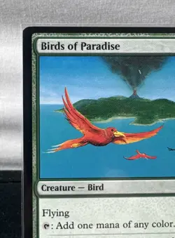 Magic The Gathering - Birds of Paradise - Dominaria Remastered - Image 3