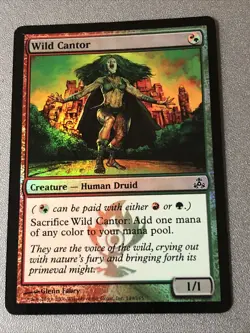 Wild Cantor Foil X1 Guildpact Ex Condition See Pics Front Back - Image 1