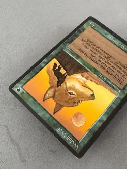 Wyluli Wolf Arabian Nights MTG-Light Play Excellent-Vintage Magic the Gathering - Image 5