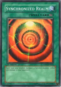 Yugioh! HP Synchronized Realm - 5DS1-EN022 - Common - 1st Edition Heavily Played - Image 1