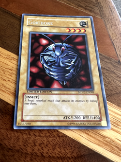 Gokibore MDP2-EN009 Limited Edition Rare LP + BONUS - Image 1