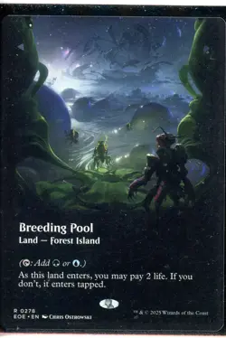 2025 Magic the Gathering Breeding Pool Land Forest Island Borderless Near Mint - Image 1