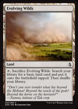 Evolving Wilds - Light Play MTG Amonkhet - Image 1
