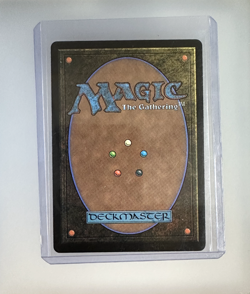 Wild Rose Rebellion Borderless 0004 MTG Final Fantasy & Master Xande 0006 - Image 2