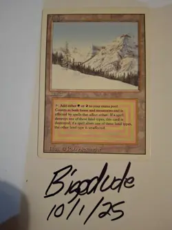 MTG Revised Taiga Dual Land - See Pics for Condition - bigedude - Image 1