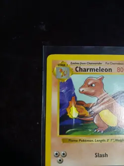 Charmeleon - 24/102 - Shadowless Base Set - Pokemon Card - LP - 1999 WOTC - Image 4