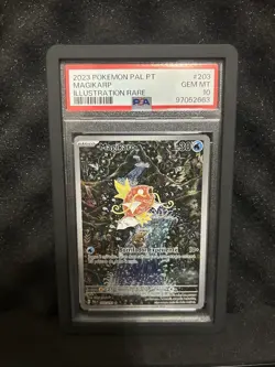 Pokemon Magikarp Paldea Evolved PORTUGUESE Illustration Rare #203 PSA 10 - Image 1