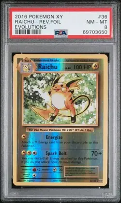 2016 - Pokemon - Raichu - Reverse Holo - XY Evolutions - 36/108 - PSA 8 (NM-MT) - Image 1