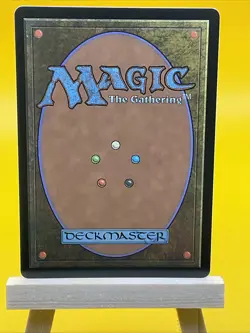 MTG Land - Meticulous Archive - 264 MKM - Image 2