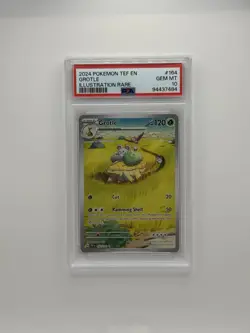 PSA 10 GEM Mint Grotle 164/162 Illustration Rare Full Art - Pokemon SV05 TEF - Image 1