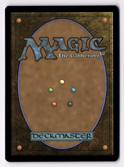 The Shire NM* FOIL The Lord Of The Rings ENGLISH 0260 mtg -UnltdCards - Image 2