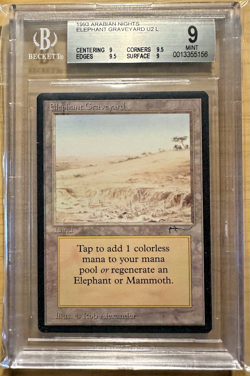 Magic The Gathering ~ Elephant Graveyard ~ BGS 9 QUAD++ MINT ~ Arabian Nights - Image 1