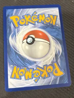 Galarian Moltres SWSH284 NM/M SWSH Sword & Shield Promo Card Pokemon TCG - Image 2