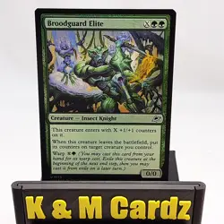 MTG - Edge of Eternities - Broodguard Elite - Foil - 0175 - NM - Image 1