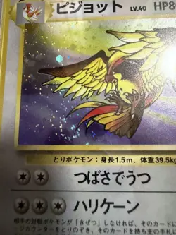 Pidgeot PSA10 Japanese Jungle Holo 1997 Expansion Pack Pokemon Card - Image 3