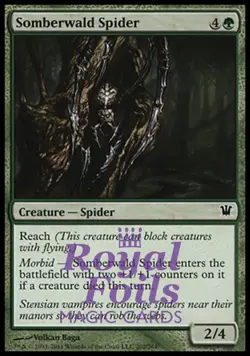Somberwald Spider 4x FOIL ISD MTG Innistrad Common MINT green - Image 1
