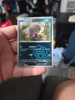 Pokemon S-Chinese Paldean Wooper Master Ball Holo CBB1C-10 1304/05 NM US Seller - Image 1