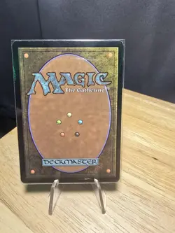 Seachrome Coast SOM LP MTG - Image 2