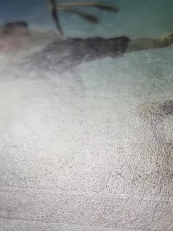 MTG Fleet-Footed Monk Portal Regular Common Magic EX - Image 2