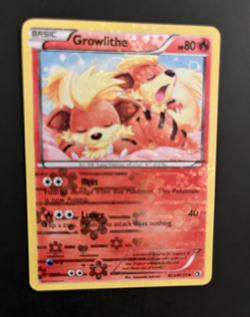 2013 GROWLITHE RC4/RC25 Legendary Treasures Pokemon Radiant Collection HOLO (G2) - Image 1