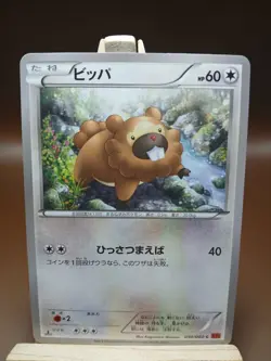 HP Pokemon Bidoof 050/060 Collection Y XY1 Japanese - Image 1