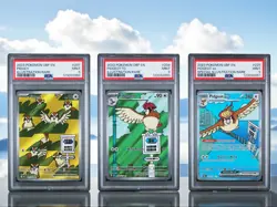 2023 POKEMON OBSIDIAN FLAMES EN PIDGEY/PIDGEOTTO/PIDGEOT SEQUENTIAL SET PSA 9 - Image 1