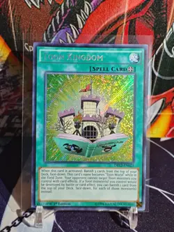 Yu-Gi-Oh! - Dragons of Legend 2 Toon Kingdom DRL2-EN023 Secret Rare 1st Edition - Image 1