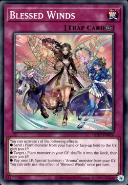 Blessed Winds - OP25-EN026 - NM - YuGiOh - Image 1