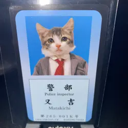 Matakichi Namennayo TCG ID Card Bosozoku Cats Kawaii Japanese Rare F/S - Image 1