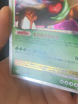 JAPANESE POKEMON TORTERRA LV.X 076/DP-P ULTRA RARE PROMO - VG - Image 4