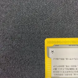 Pokemon Trading Card Game Pokemon Center Tokyo Promo e 019/P r# - Image 4