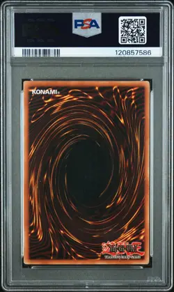 PSA 6 BLACK ROSE DRAGON GHOST RARE CSOC-EN039 CROSSROAD OF CHAOS YUGIOH ENGLISH - Image 2