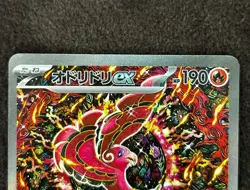 Pokemon Card Infernape LV.X & Oricorio ex SAR Rare Holo Japanese TCG From Japan - Image 2