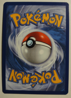 Pokemon TCG Destined Rivals Professor Program Judge Promo 167/182 - Image 3