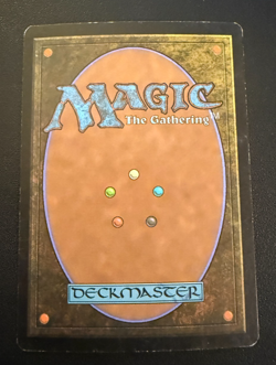 Magic The Gathering - MTG Dimir Guildgate Ravnica Remastered Foil 241/249 LP - Image 2