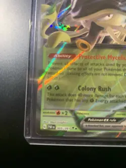 Toedscruel Ex Ultra Rare Holo Foil Grass Paldean Fates Pokemon TCG Card 005/091 - Image 5