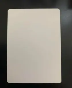 MTG Dragon of Mount Shiv 10th Edition Artist Proof Signed White Background - Image 2