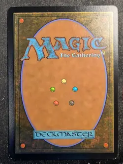 Shivan Reef - Borderless - Dominaria United (MTG) - Image 2