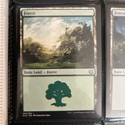 Forest (263) ~ Near Mint Kaladesh MTG Magic UltimateMTG Land Card - Image 1