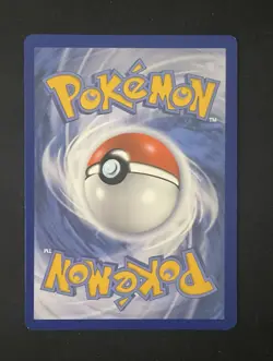 Charizard V SWSH260 Pokemon TCG Sword & Shield Black Star Promo Card NM - Image 2