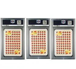 1998 POKEMON STADIUM YELLOW VERSION PLAYING CARDS POLIWAG POLIWHIRL POLIWRATH - Image 2