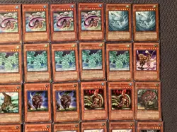 Yu-Gi-Oh! Dinosaur Lot - Retro/Legacy Cards - Image 5