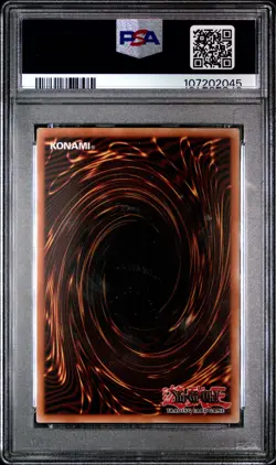 PSA 10 Black Rose Dragon #EN014 Yu-Gi-Oh! 25th Anniversary Tin: Dueling Heroes E - Image 2