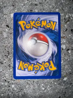 Pokemon TCG Cards Sentret 107/147 Aquapolis LP - Image 4