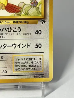 【LP】1999 Pokemon Card Japanese Southern Islands Promo Pidgeot No.018 JN49 - Image 5